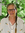 Janet Howard | 1 comments