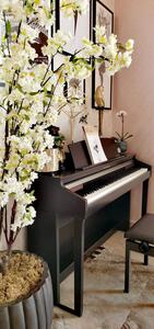 Moudi Ateek Al Ateek