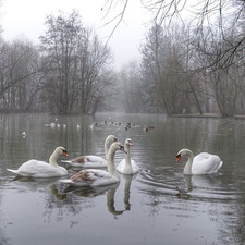 * ੈ‧ ✧ ₊˚☆ julie ʚїɞ