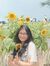 Vy Phan