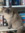 Holly (holly712705918)
