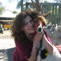 Laura Montecot-Fruth