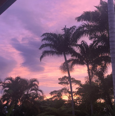 jorja &#x1faf6;&#x1f3fc;&#x1f9a6;