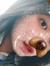 ayaa  :3
