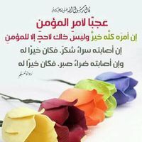د.مريم الصادق محمد المحجوب