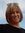 Patty Diel