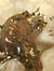 Amariro