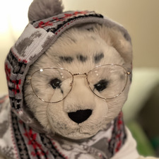 Julius The Snow Leopard