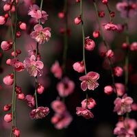 Baatighar Chattogram