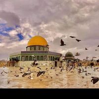 تسنيم ابو بكر