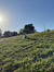 Jennifer S