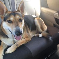 Megan Bennert Wolf