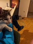 Henrik
