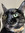 Kat