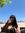 Joana G...