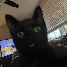 Timothy Kirchgessner