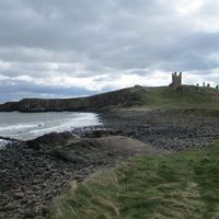 Alan Elliott