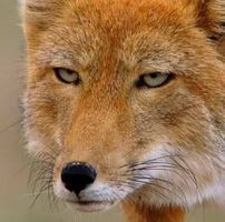 Sathana Laolugsanalerd