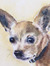 Vinny H...