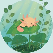 .ೃ࿐ Jacquin ⋆.ೃ࿔*:･