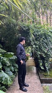 Tin Nguyen