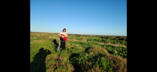 Liesbeth