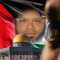 نبيل الشريف