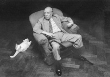 harry wątroba