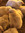 kavkav_10 s.s | 74 comments