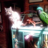 Kim Davidson Shields