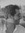 Gilad Levin