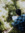 member photo member photo