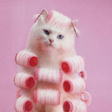 Teniska chillující