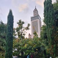 سندس وإستبرق