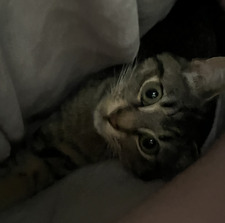 Lillian