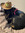 Heather (consultingrodent) | 2 comments