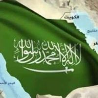 DrWalaa Abdelnabe