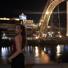 margarida