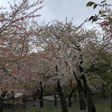 em ｡☆: *.☽ .* :☆ﾟ