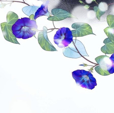 Gwen NOW ON STORYGRAPH