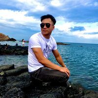Vietdung Lee