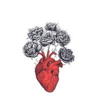 ريحانة حياة