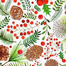 Naranzaya Eldev-ochir