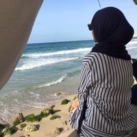 Shrook Tarek