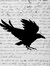 Raven