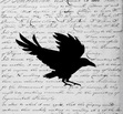 Raven