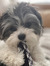 Bailey ...