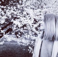 Діана Висоцька