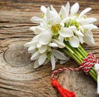 Елза-Максим Яворови