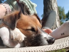 Patrick Langenströer